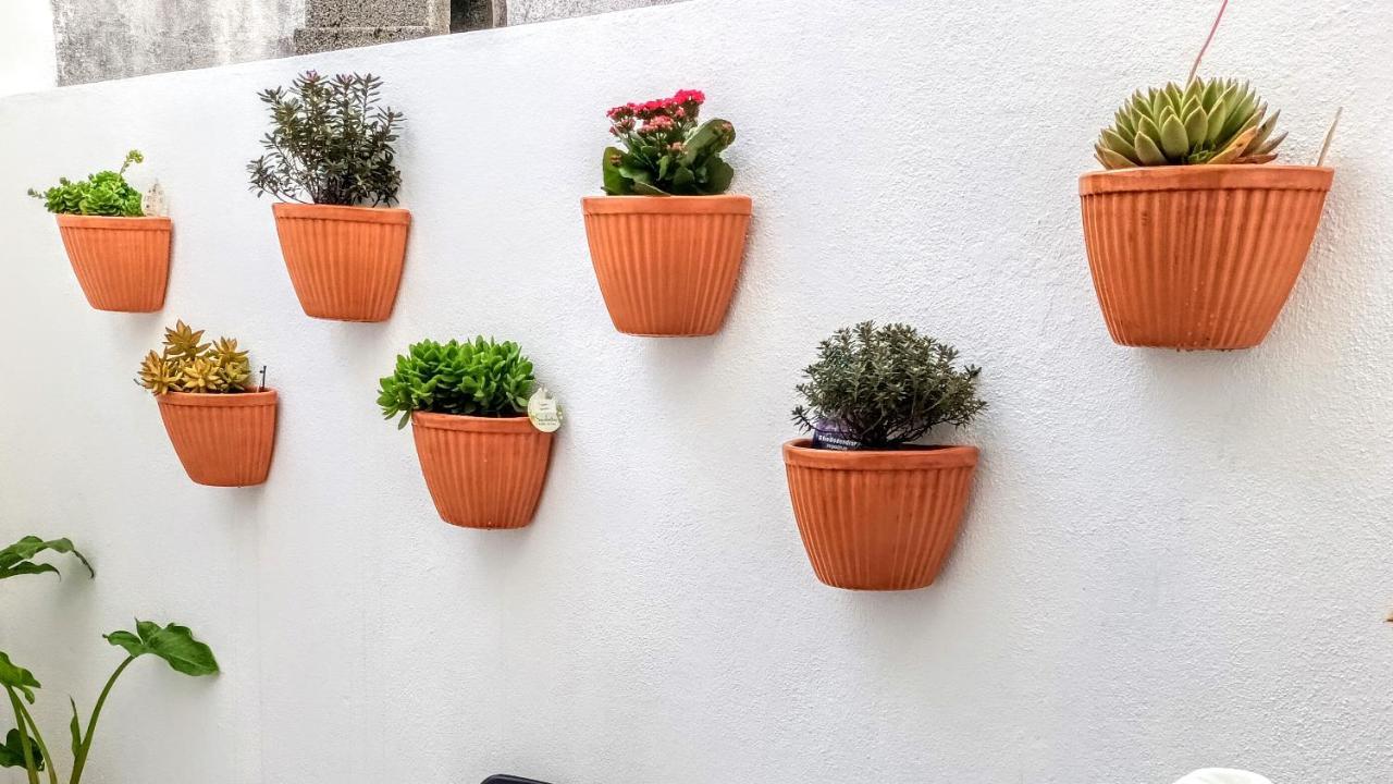 A Casa na Foz, Foz do Arelho Apartman Kültér fotó